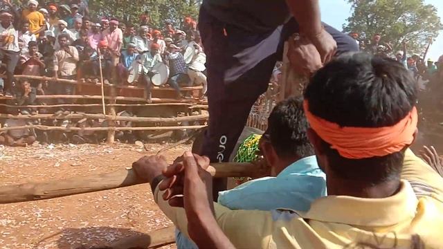 shadaguppi sarkar siddi halli habba смотреть онлайн