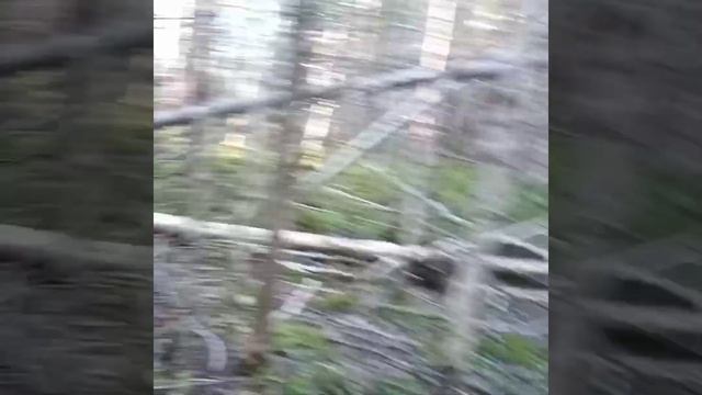 Стройка землянки смотреть онлайн