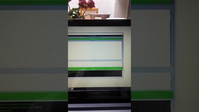 bulk sms sender windows смотреть онлайн
