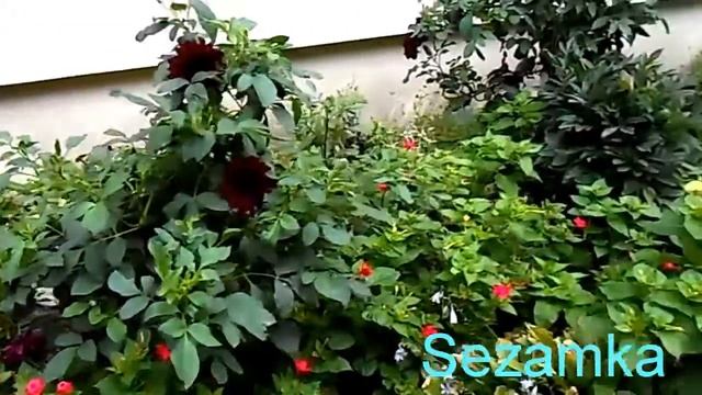 Дом № 1В Квитневый пер Подольский район Улицы Киева смотреть онлайн