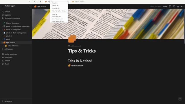 Notion tips: How to use tabs for productivity and navigation #notion #productivity смотреть онлайн