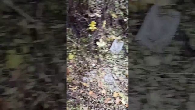 Связали друга на 24 часа смотреть онлайн