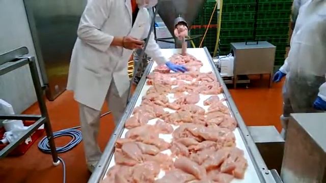 Куриные грудки перекачивание с помощью Masosine 2 смотреть онлайн