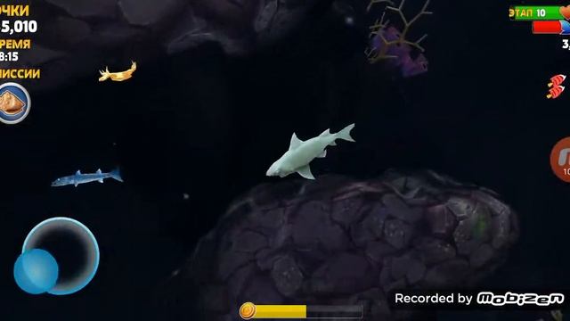 Играю в hungry shark :акула мако смотреть онлайн
