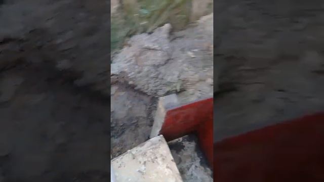 Монолитный погреб 13 смотреть онлайн