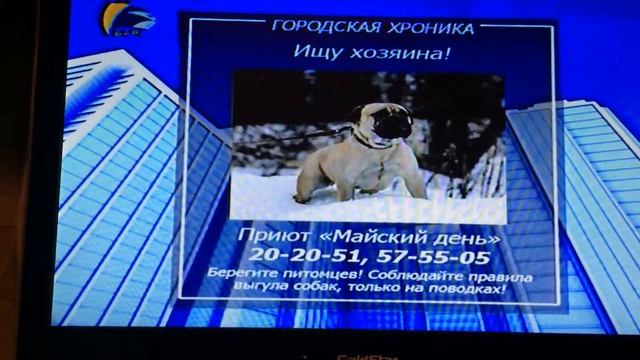 Объявление о бульмастифе на ТВ смотреть онлайн
