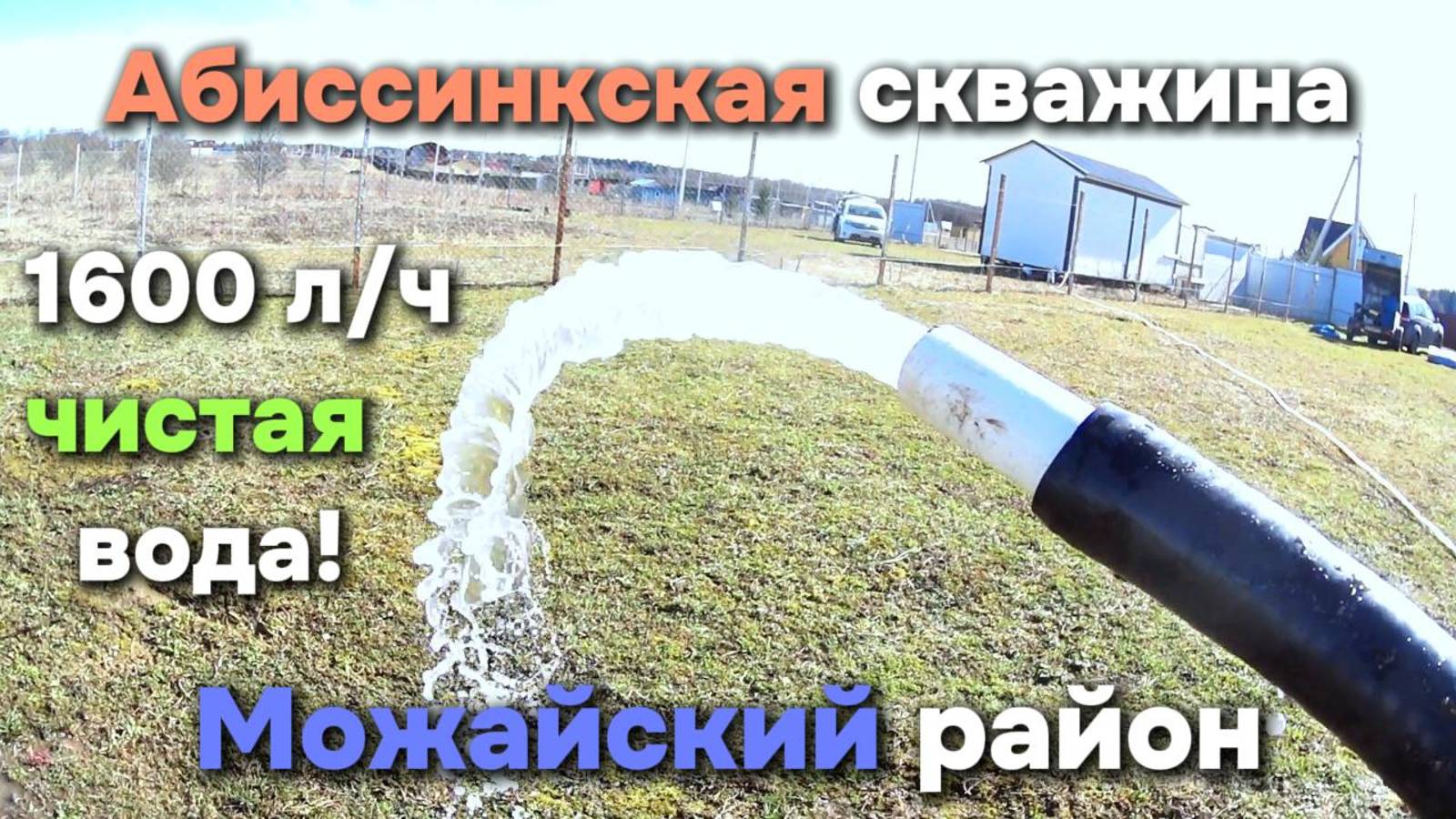Абиссинка с чистой водой в Можайском районе