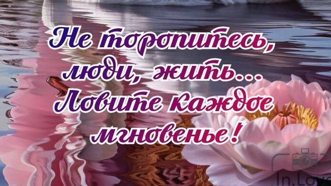 Моя первая трансляция)