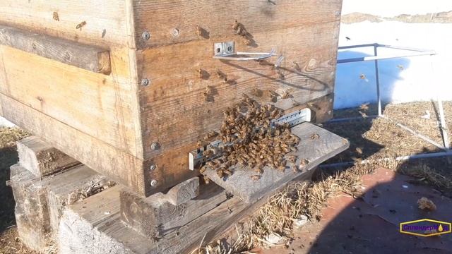 Хорошо полетали.