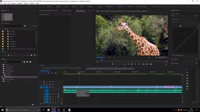5 most important shortcut tips in Premiere Pro CC to speed up your workflow смотреть онлайн