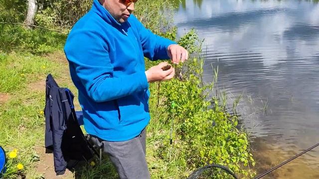 Караси Трёхозерки; классика против подготовки; фидер против поплавка; хитрость против нереста смотреть онлайн