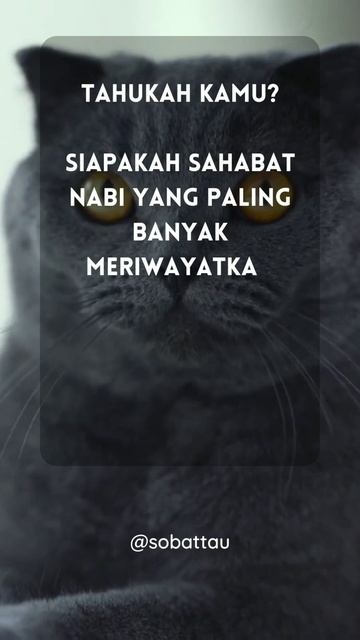 Sahabat Nabi Periwayat Hadist #219 #shorts #short #islam #history #video #viral