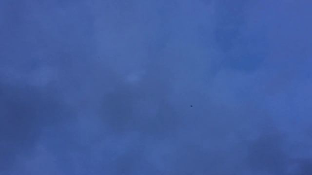 От голубей надо получить удоволствие.28.02.19г смотреть онлайн