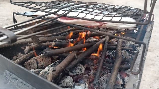 Природный мир