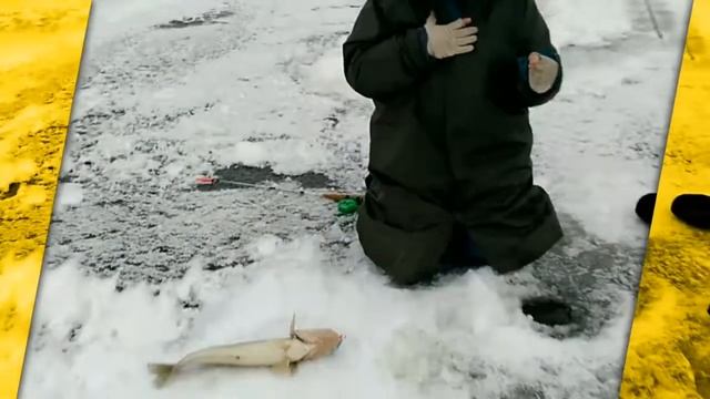 15 дек. 2019 г. смотреть онлайн