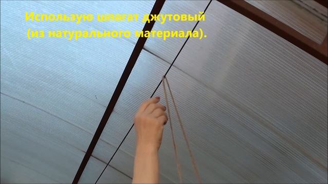 Формировать ли индетерминантные томаты? смотреть онлайн