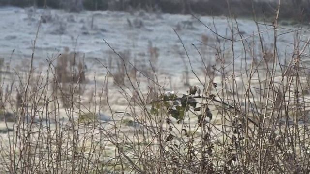 Ровесники мамонтов смотреть онлайн