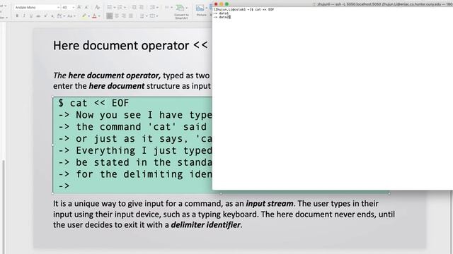 13, CSCI13200, Unix Programming, section 02, 09/14/2020 Class Unit4 B 2 смотреть онлайн