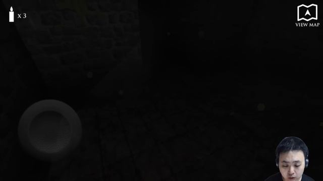 Dungeon Nightmares - Scary stuff (iOS/Android) смотреть онлайн