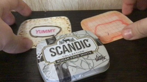 /SCANDIC/ДЕЛАЕМ ПОДЕЛКУ В КОРОБОЧКЕ/