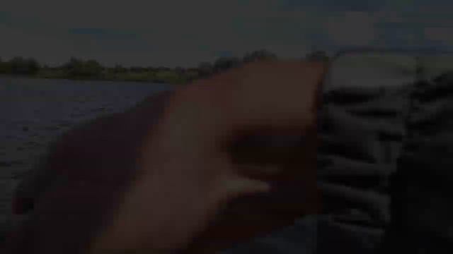 Парадокс кальмарок. Breaden Squid Wicked Game Specimen. смотреть онлайн