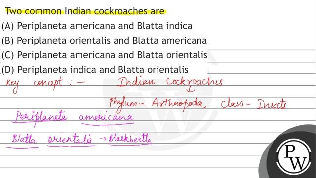 Two common Indian cockroaches are
(A) Periplaneta americana and Blatta indica
(B) Periplaneta or... смотреть онлайн
