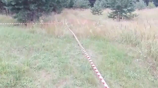 Приватизация земельных участков в Клину смотреть онлайн