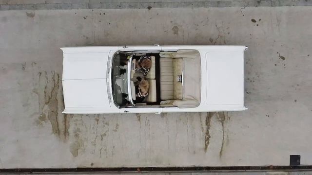 Looktown смотреть онлайн