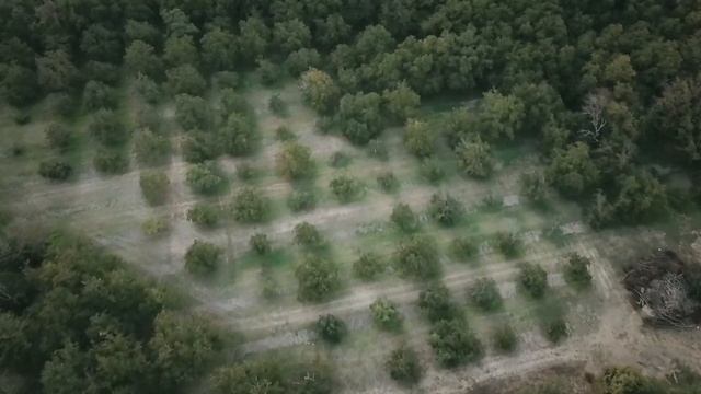 FEVRMOON - "The Work" OFFICIAL смотреть онлайн