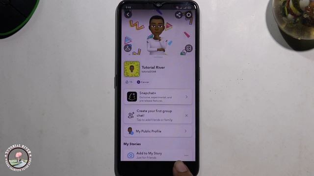 How to Save Snapchat Photos to Your Gallery 2024 (Android & iOS) смотреть онлайн