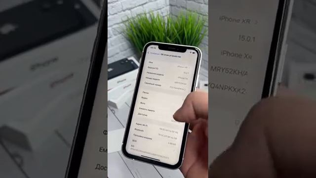 Iphone 13 128 Gb