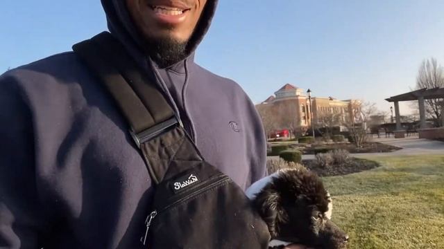 TOOK MY DOG TO GET HER FIRST PUPPUCCINO...SHE ATE THE WHOLE CUP смотреть онлайн
