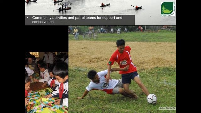 Saving the World's Rarest Turtle in Vietnam смотреть онлайн