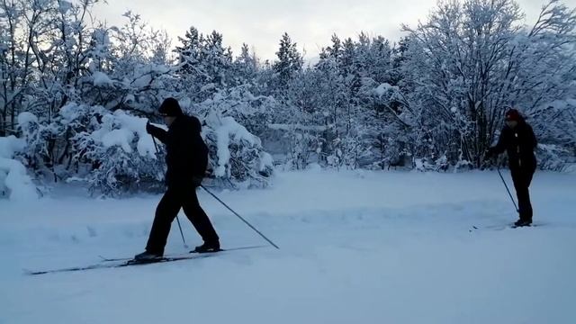 Видеотрансляция «Скандинавский променад» смотреть онлайн