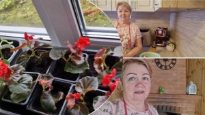 ПОСМОТРИМ РАСТИШКИ НА ОКНАХ, ЗАМАРИНУЕМ КУРИНЫЕ БЕДРЫШКИ ДЛЯ АЭРОГРИЛЯ И ХОРОШИЕ НОВОСТИ ОТ ЛИЗЫ.