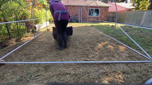 My Greenhouse 2021 Quictent Upgraded 20’x10’x7’ Portable смотреть онлайн