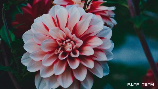 Спокойная музыка для души 2020.Топ новая смотреть онлайн