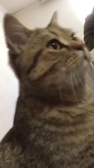 24 февраля 2023 г. смотреть онлайн