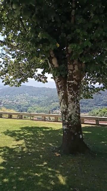 Igreja de Urrô - Arouca смотреть онлайн