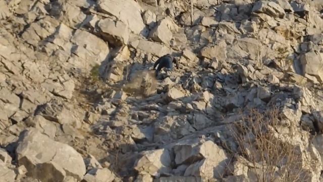 Разгельдяи