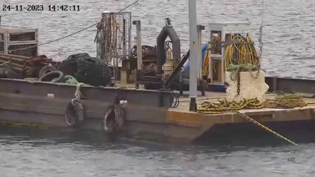 Port Lincoln Osprey 24 11 2023 1 ~ Dostawa, Mama Karmi