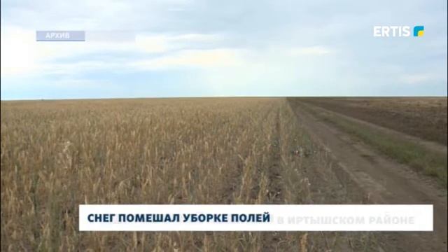 Снег помешал уборке полей смотреть онлайн