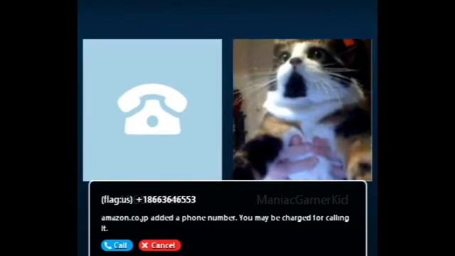 "Goodbai" - Calling Optimizer Pro tech support смотреть онлайн