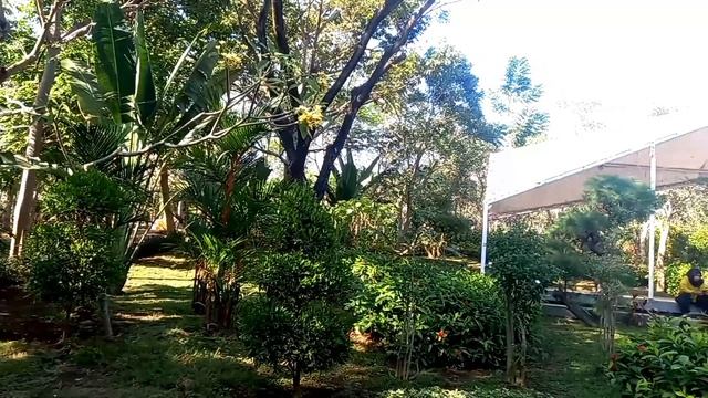 Hutan Bambu keputih 2023 SWEJUK !! смотреть онлайн