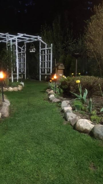 1 мая вечер в саду #garden #цветы #дача #flowers #сад #gardening смотреть онлайн