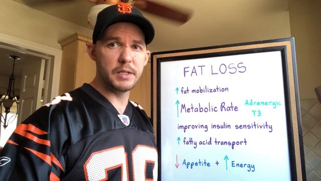 How Fat Loss Supplements Work - Part 2 (beta adrenergic stimulation, T3 production) смотреть онлайн