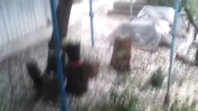 ГРАД В БЛАГОДАРНОМ 14.05.2016.г. В 19:03ч. смотреть онлайн