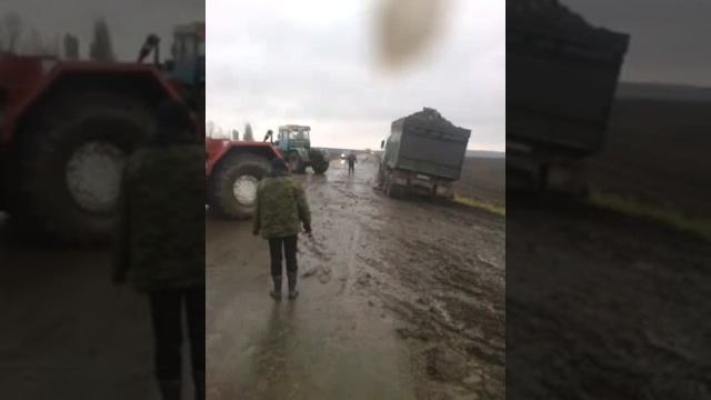 Кировец и Т-150 вытаскивают КАМАЗ. Уборка сахарной свеклы 2013 год. смотреть онлайн