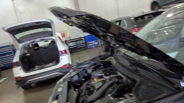 Getting ready for a Saturday! смотреть онлайн