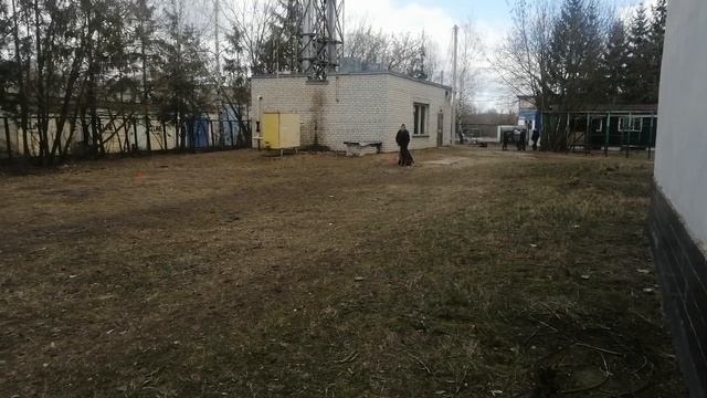 6.  выражено/перв ALINGRAND FORS ZHERSAYD (Atsel Hof Makhno – Alingrand Fors Napoli)